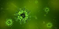 Afbeelding: Coronavirus (VRIJ pixabay)